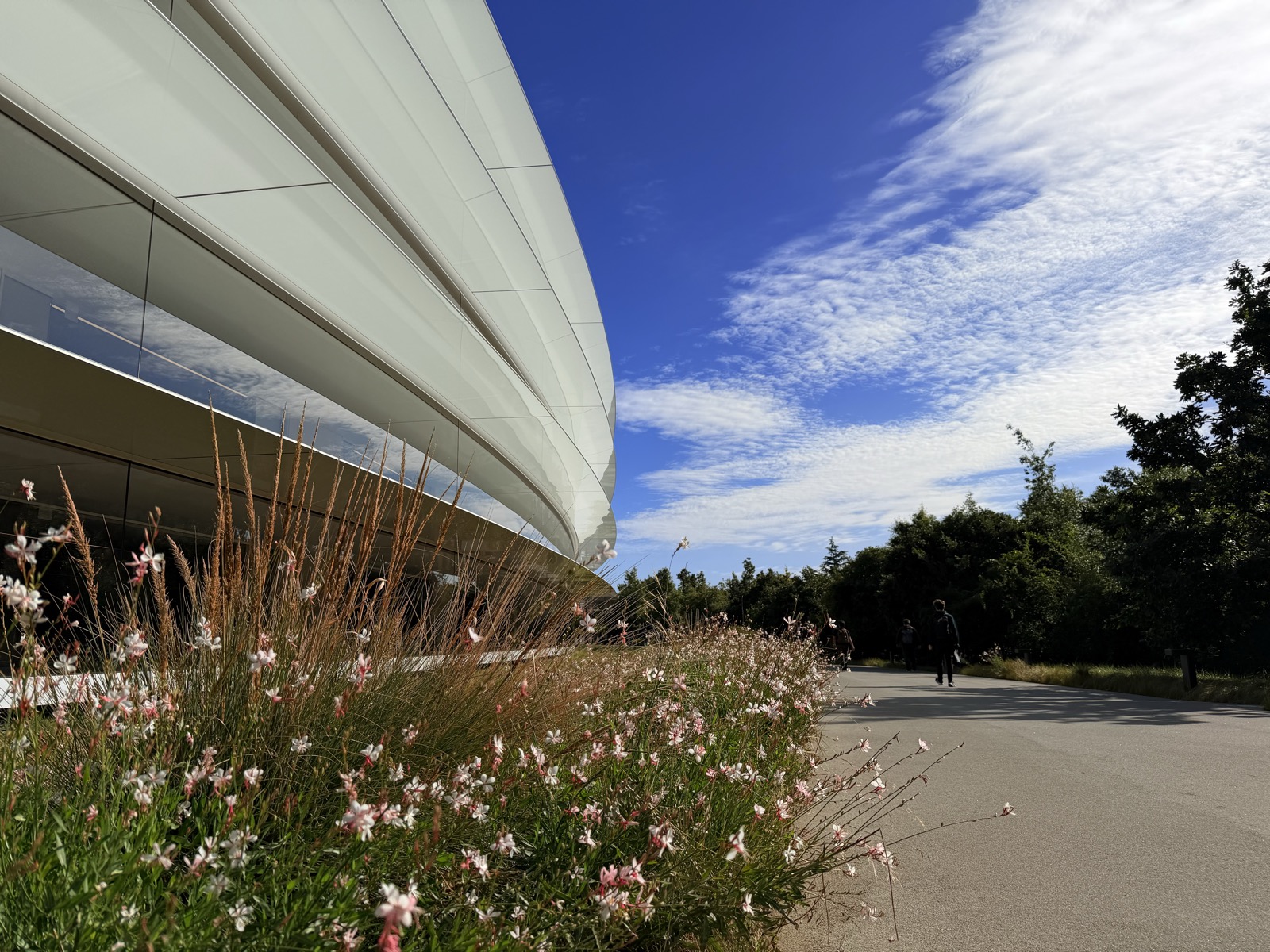 Apple Parkと青空
